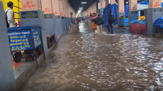 விடிய விடிய வெளுத்து வாங்கிய கனமழை! ஒரே நாளில் 15 செ.மீ.! திருச்செந்தூர் முருகன் கோவிலின் நிலைமை இதுதான்!