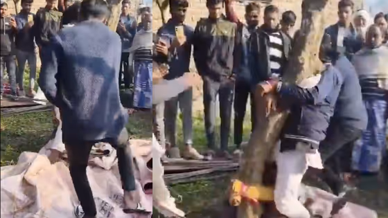 बिहार के सुपौल में सरेआम ‘जंगलराज’! प्रेमी जोड़े को पेड़ से बांधा-पंचायत ने वसूला 2 लाख