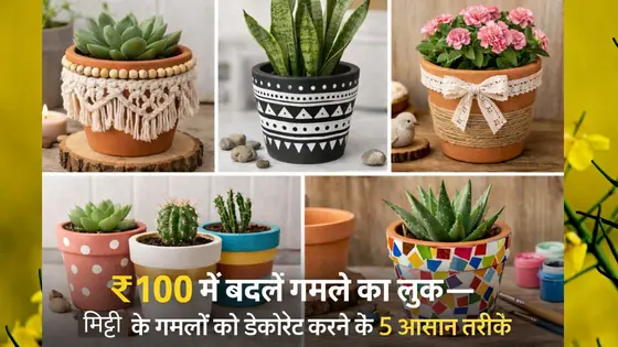 100 रुपये में बदलें गार्डनिंग पॉट का लुक, मिट्टी के गमलों को डेकोरेट करने के लिए अपनाएं 5 टिप्स