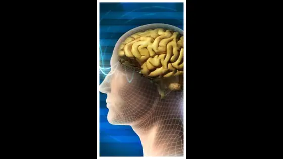 Brain Food: মস্তিষ্ক সতেজ রাখতে ও স্মৃতিশক্তি বাড়াতে খান এই খাবারগুলি