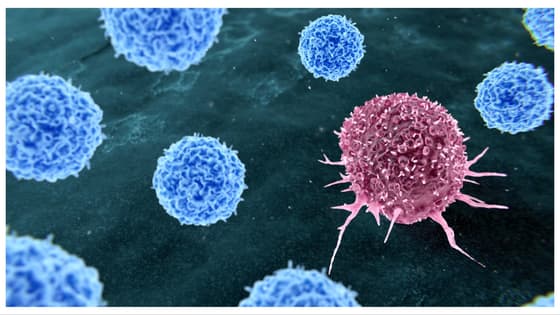Breast Cancer: স্তন ক্যানসারের এই লক্ষণগুলি অবহেলা করছেন না তো? জানুন এক ক্লিকে