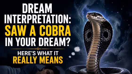 Why Do You Dream About Snakes? Symbolism Behind This Unusual Dream, Is It Good or Bad?