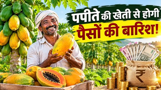 Papaya Farming: पपीते की खेती बदल सकती है किसानों की किस्मत, जानें कमाई बढ़ाने का तरीका