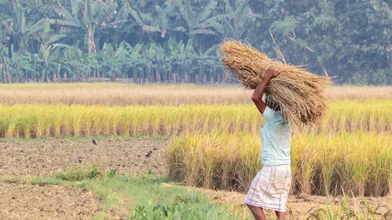 Centre releases over Rs 94 crore in grants to Uttarakhand's Panchayats