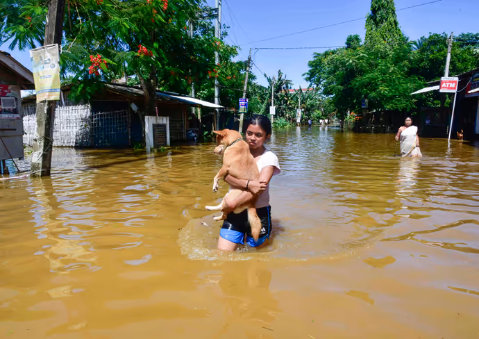 कहीं बाढ़ ने छीना रोजगार तो कहीं खुद से ज्यादा जानवर की फिक्र, 10 PHOTO में बारिश की तबाही