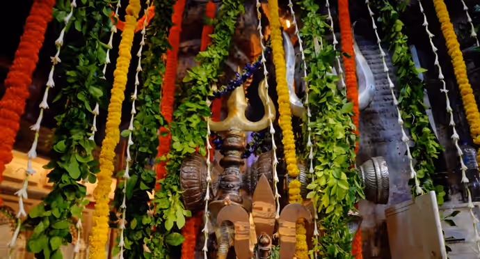 Nag Panchami: फूलों और रोशनी से जगमगाया काशी विश्वनाथ धाम, 5 तस्वीरों में देखिए दिव्य श्रृंगार
