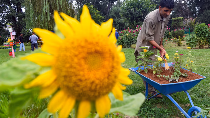 कबाड़ से तैयार हुआ अनोखा गार्डन: Srinagar के Waste Wonder Garden की 15 PHOTOS