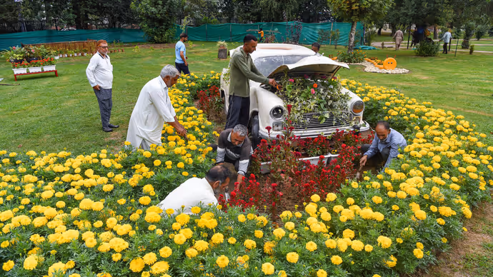 कबाड़ से तैयार हुआ अनोखा गार्डन: Srinagar के Waste Wonder Garden की 15 PHOTOS