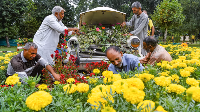कबाड़ से तैयार हुआ अनोखा गार्डन: Srinagar के Waste Wonder Garden की 15 PHOTOS