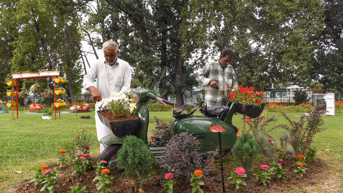 कबाड़ से तैयार हुआ अनोखा गार्डन: Srinagar के Waste Wonder Garden की 15 PHOTOS