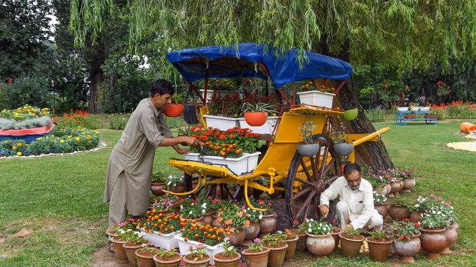कबाड़ से तैयार हुआ अनोखा गार्डन: Srinagar के Waste Wonder Garden की 15 PHOTOS