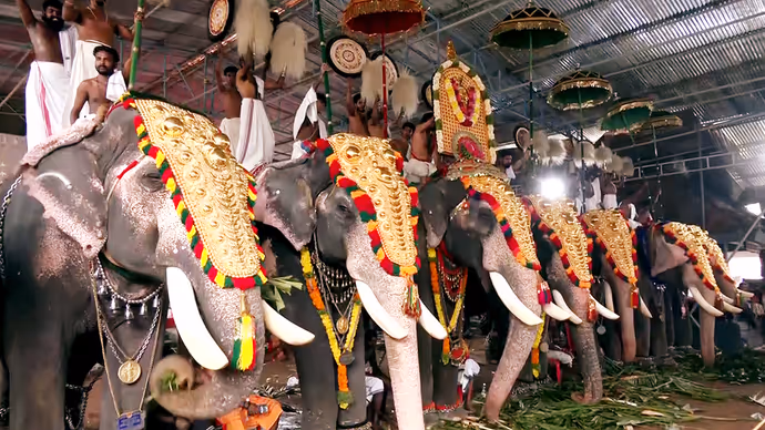 Onam 2026 Photos: कहीं सजे हाथी तो कहीं खिले फूलों के पूकलम, 10 तस्वीरों में देखें ओणम के रंग