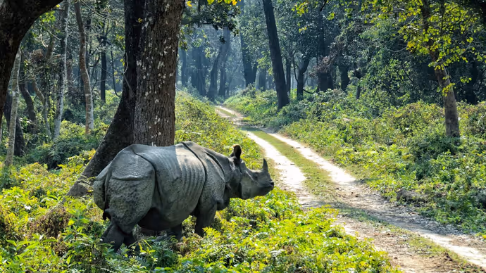 काठमांडू से पोखरा तक...ये हैं नेपाल की 8 सबसे खूबसूरत जगह
