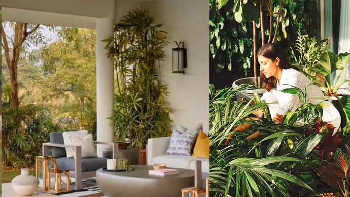 Anushka Sharma Home PICS: विराट-अनुष्का के घर में हैं 600 पौधे, नेचर लवर हैं एक्ट्रेस