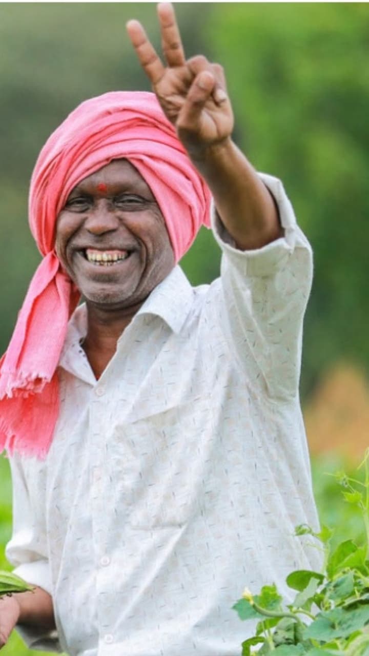 ఆగస్టులో ఈ 3 కూరగాయలు పండించండి.. లక్షల్లో లాభాలు పొందండి ఆగస్టులో ఈ 3 కూరగాయలు పండించండి.. లక్షల్లో లాభాలు పొందండి