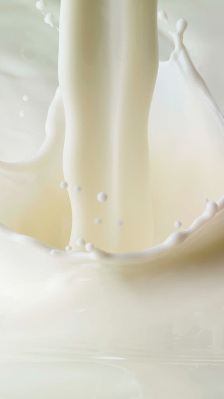 Milk Tips: பால் அடிக்கடி திரிஞ்சு போகுதா? அப்போ இந்த ஒரு பொருளை சேருங்க போதும்!