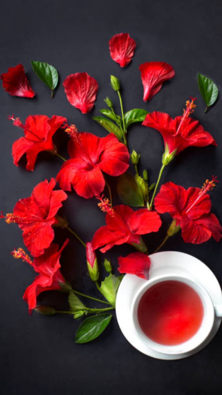 Hibiscus : செம்பருத்தி டீ குடிப்பதால் இம்புட்டு நன்மைகள் கிடைக்குமா?