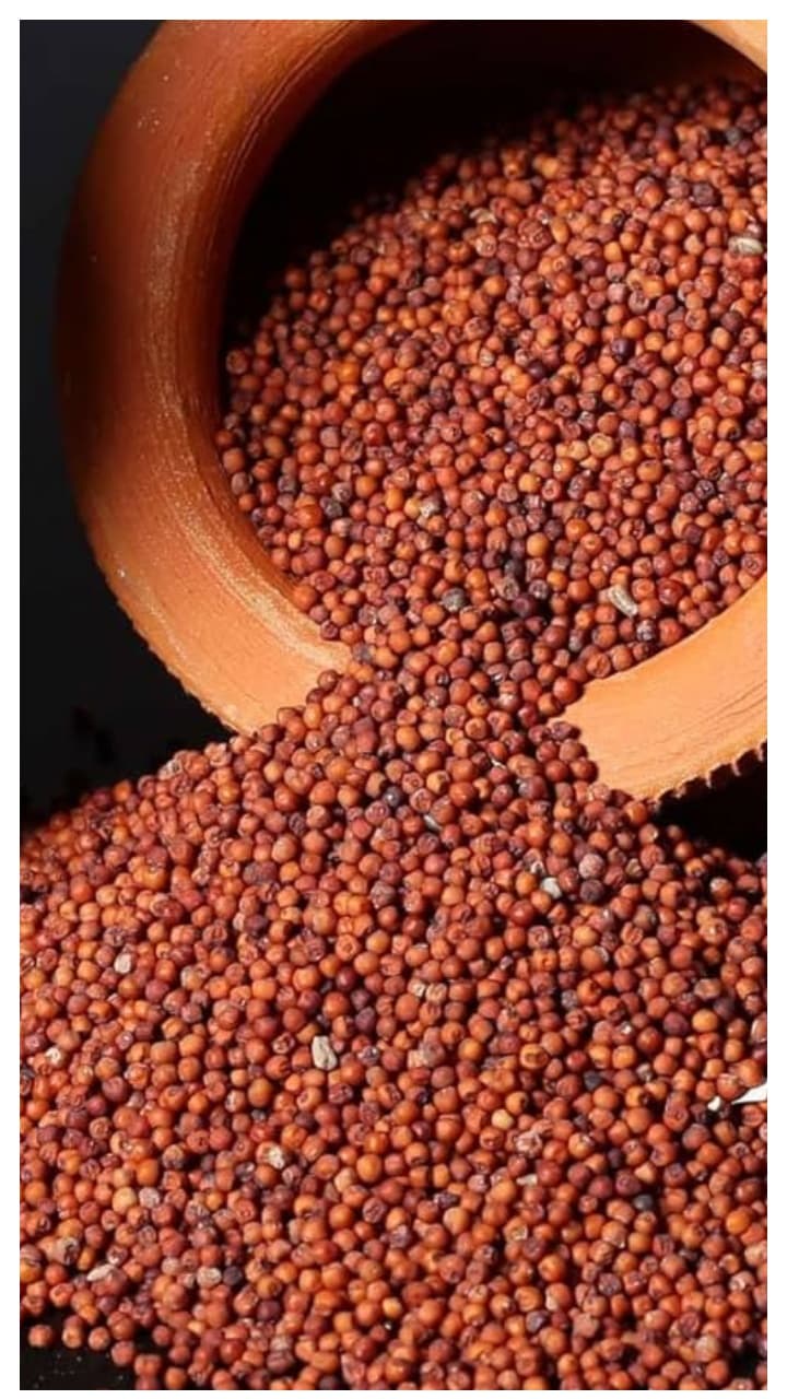 റാ​ഗി കഴിച്ചാൽ ലഭിക്കുന്ന 7 ആരോ​ഗ്യ​ഗുണങ്ങൾ