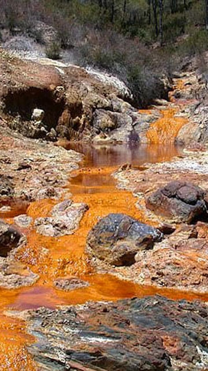 Why are Alaskan rivers turning Orange in colour? | Asianet Newsable
