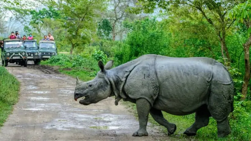 world wildlife day