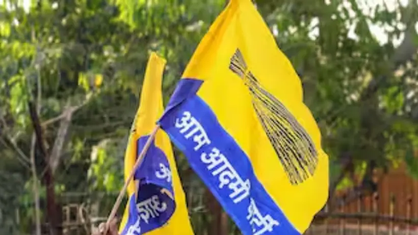 AAP flag