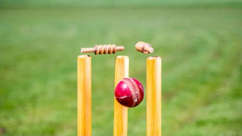 3 stumps
