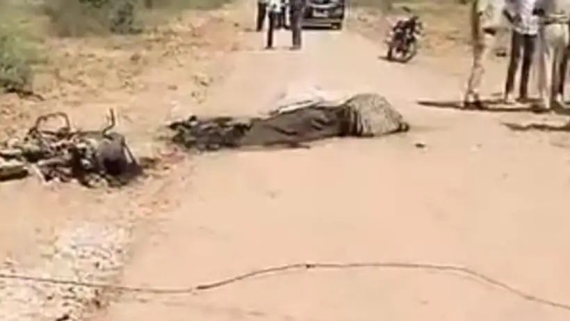 shocking nagaur news