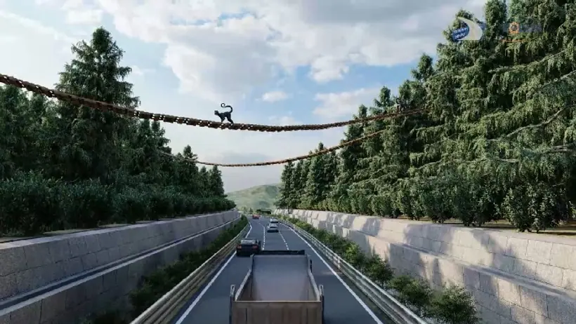 Raipur Visakhapatnam Greenfield corridor