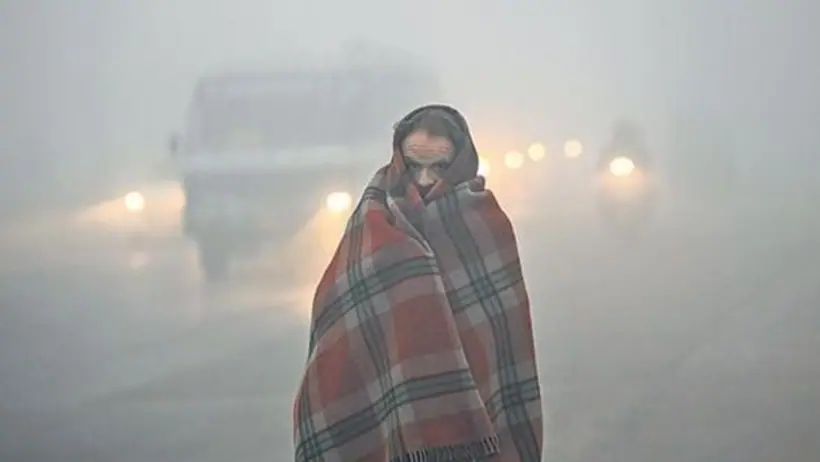 North India Fog