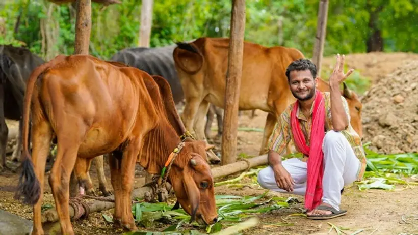 Rural India