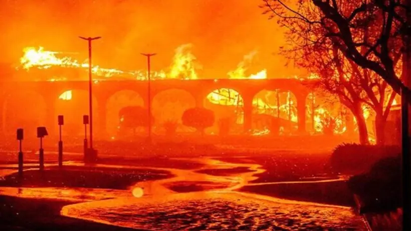 Wild Fire