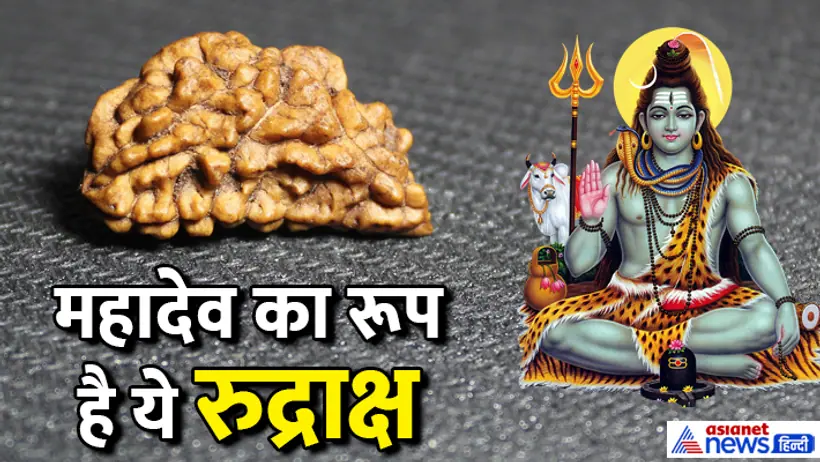 ek mukhi rudraksh