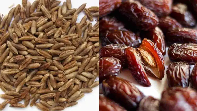 How to use dates seeds