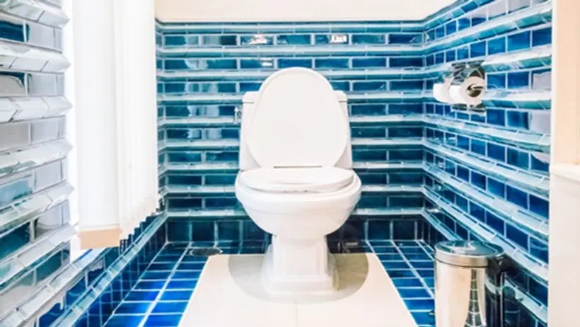 Toilet seat