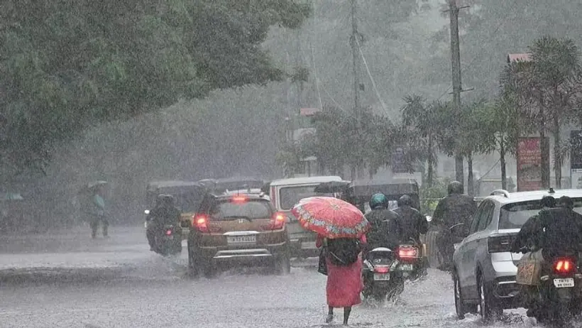 Rain alert