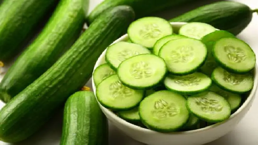 bitter cucumber for diabetes