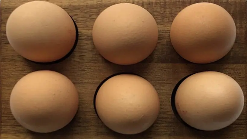 World rarest egg