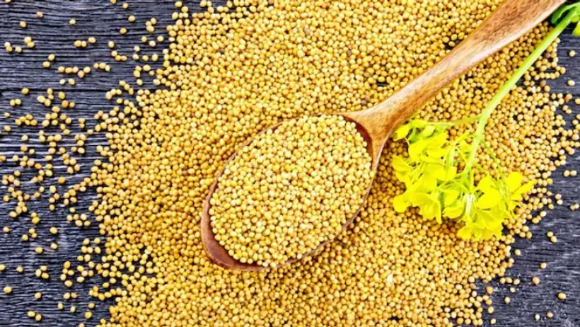 Mustard seeds Vastu tips for wealth
