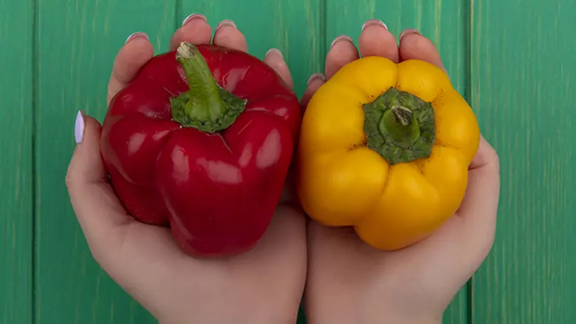 Male vs Female Capsicum