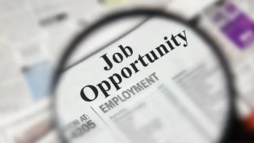 Job Opportunity