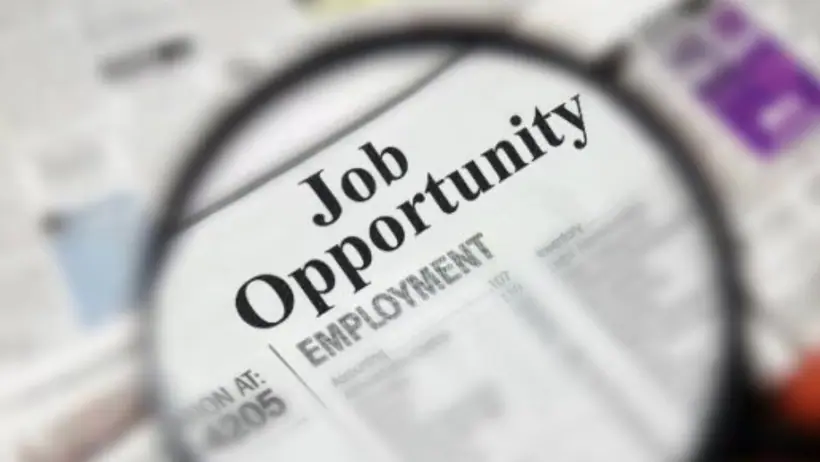 Recruitment announced for these post