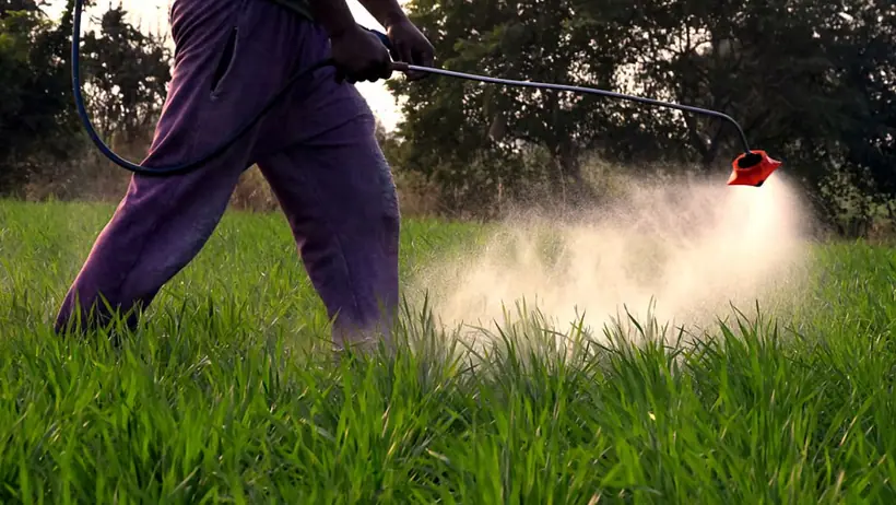 Toxic soil crisis