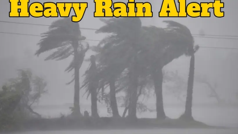 Rain Alert