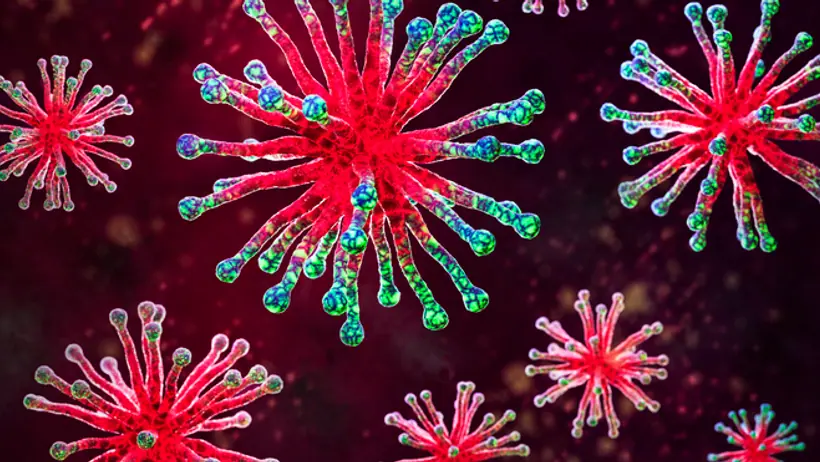virus HMPV 