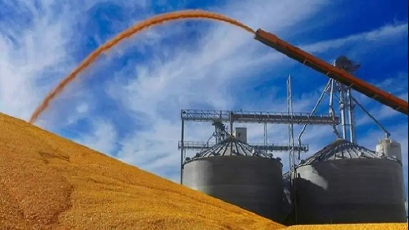 धान के भूसा से बनेगा Ethanol, प्रदूषण पर लगेगा लगाम, किसान होगा मालामाल, उद्घाटन करेंगे PM Modi
