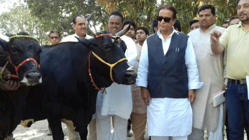 नई मुसीबत में आजम खान, अब भैंस चोरी के आरोप में FIR दर्ज