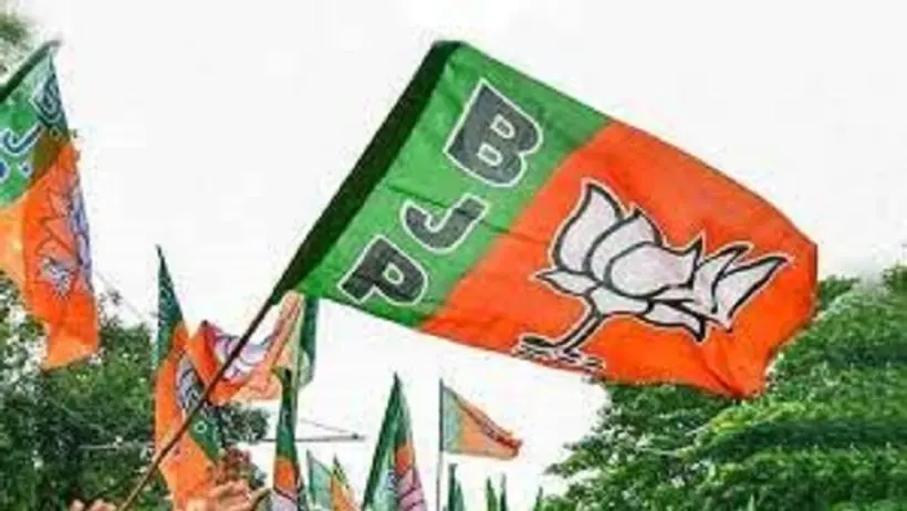 यूपी चुनाव: मेरठ कैंट के बीजेपी प्रत्याशी बोले  मतगणना व्यवस्था में बंदर कर सकते हैं गड़बड़ी, जानिए पूरा मामला