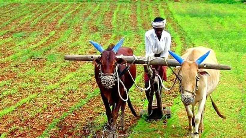 उत्तर प्रदेश सरकार 1.71 लाख हेक्टेयर ऊसर भूमि को 100 दिनों में बनाएगी खेती करने योग्य, 477.33 करोड़ होंगे खर्च
