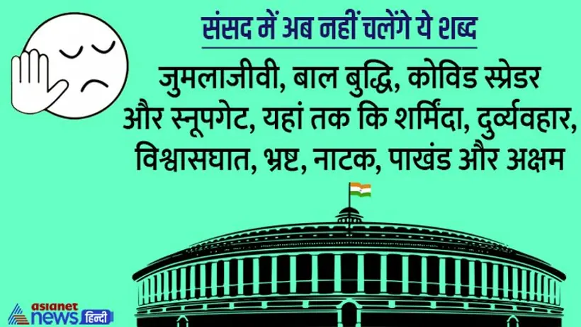 माननीय Attention Please सदन में अंट शंट जुमलाजीवी, बालबुद्धि, पाखंड, बचपना जैसे शब्द न बोलें, तो ठीक रहेगा