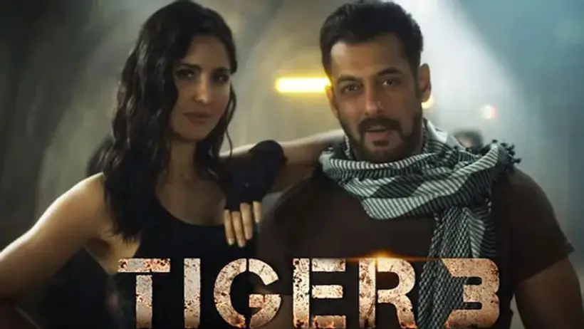 सलमान खान की Tiger 3 में नई एंट्री, कैटरीना कैफ को 'चुनौती'देते दिखाई देंगी ये टीवी एक्ट्रेस
